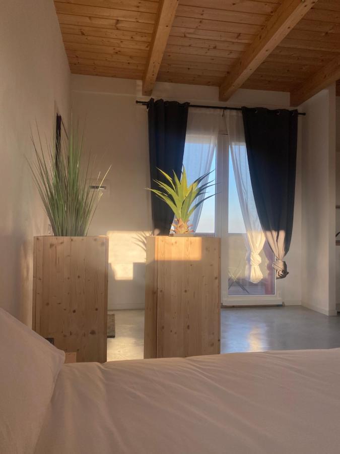 Olea B&B 몬테코사로 외부 사진
