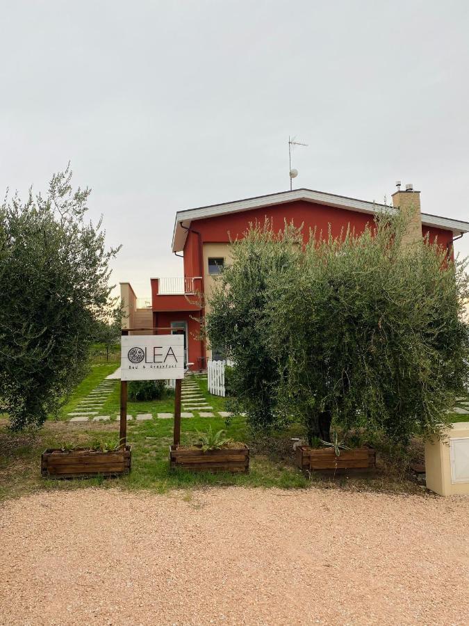 Olea B&B 몬테코사로 외부 사진